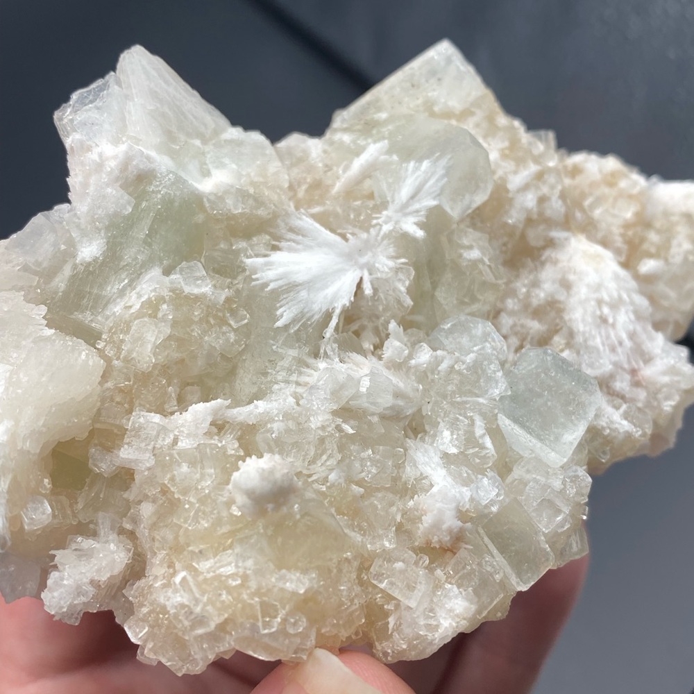 Light Green Apophyllite with Scolecite blades - mineral specimen